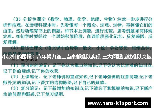 小波什的困境：八年努力连二当家都难以实现 三大问题成就难以突破