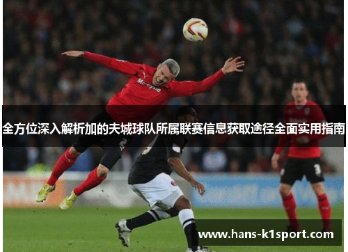 全方位深入解析加的夫城球队所属联赛信息获取途径全面实用指南