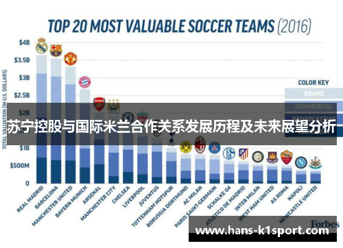 苏宁控股与国际米兰合作关系发展历程及未来展望分析